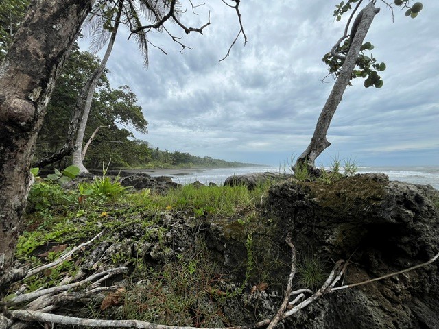 Cahuita Costa Rica